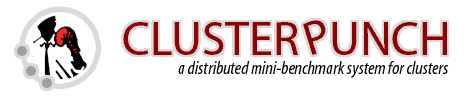 Clusterpunch: a distributed mini-benchmark system for clusters
