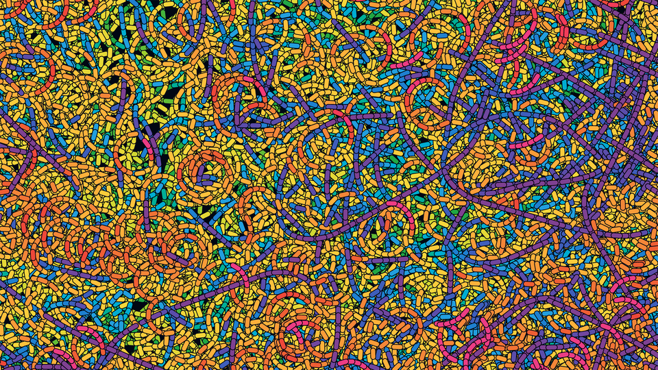 Coronavirus genome desktops -- 56 genomes of SARS-CoV-2 / Science and Art by Martin Krzywinski