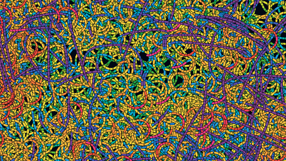 Coronavirus genome desktops -- 56 genomes of SARS-CoV-2 / Science and Art by Martin Krzywinski