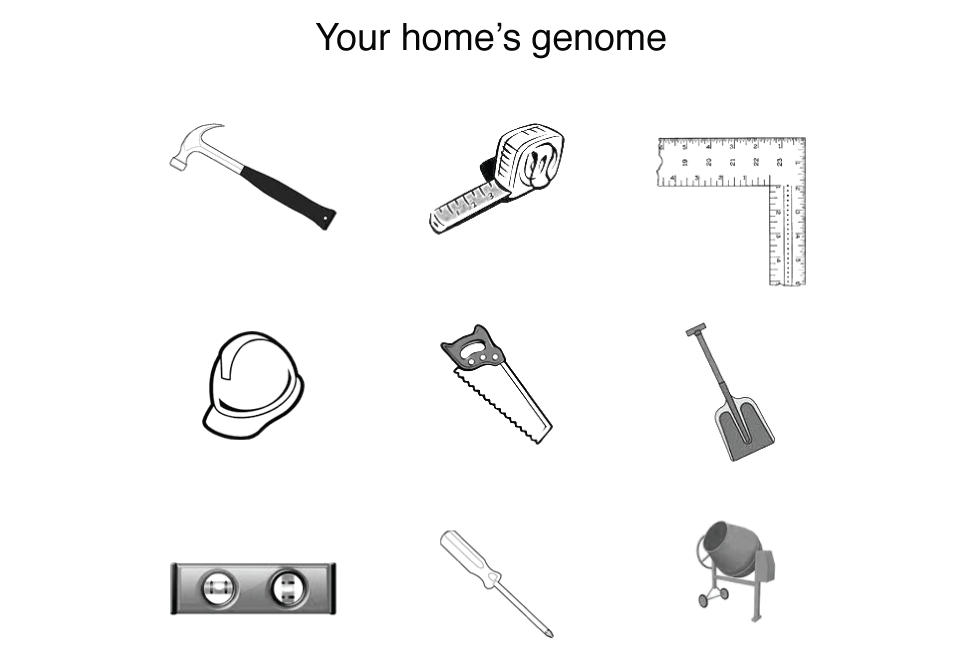 Genome is not a blueprint. / Martin Krzywinski @MKrzywinski mkweb.bcgsc.ca