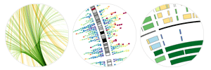 Circos - Circular Genome Visualization / Martin Krzywinski @MKrzywinski mkweb.bcgsc.ca
