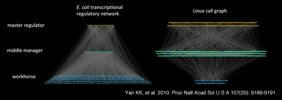 Yan KK, Fang G, Bhardwaj N, Alexander RP, Gerstein M. 2010. Comparing genomes to computer operating systems in terms of the topology and evolution of their regulatory control networks. Proc Natl Acad Sci U S A 107(20): 9186-9191.