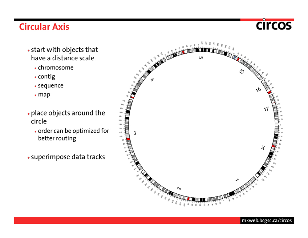 Circos - data viewer - introduction - page 29