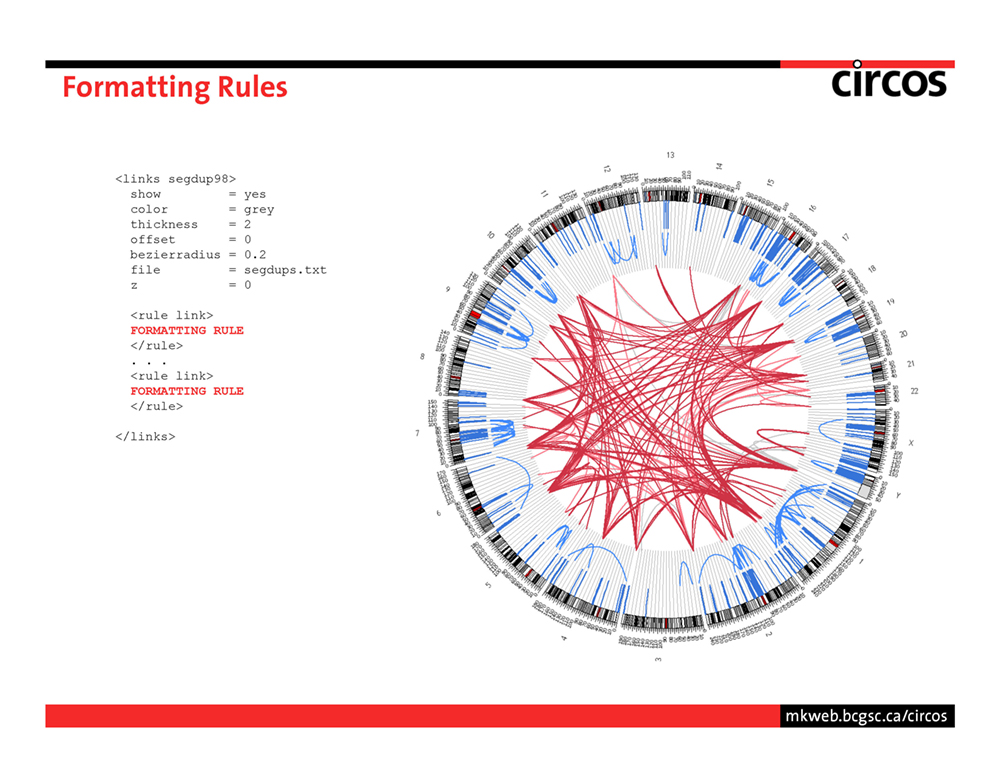 Circos - data viewer - introduction - page 33