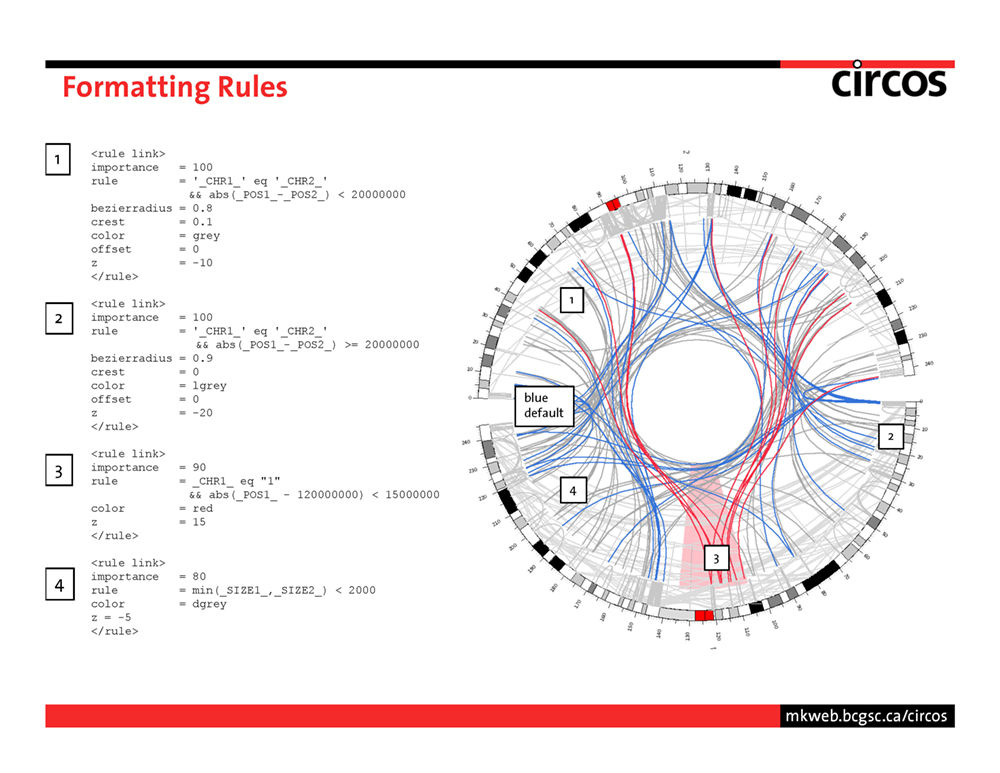 Circos - data viewer - introduction - page 36