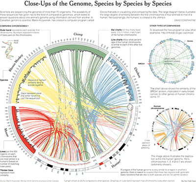 Circos in New York Times - Close up of the Genome, Species by Species by Species (400 x 370)