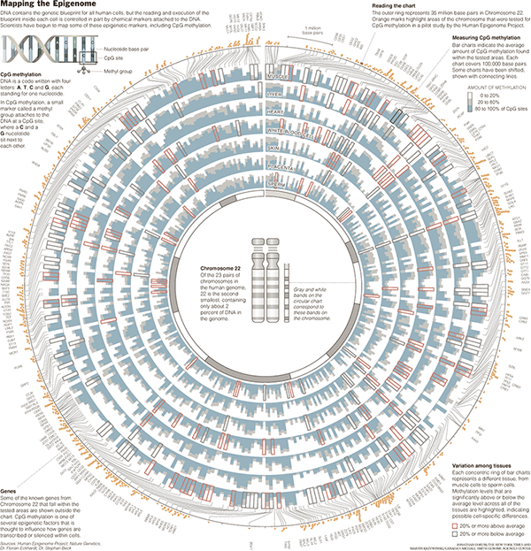 New York Times - Circos - Mapping the Epigenome. (600 x 623)