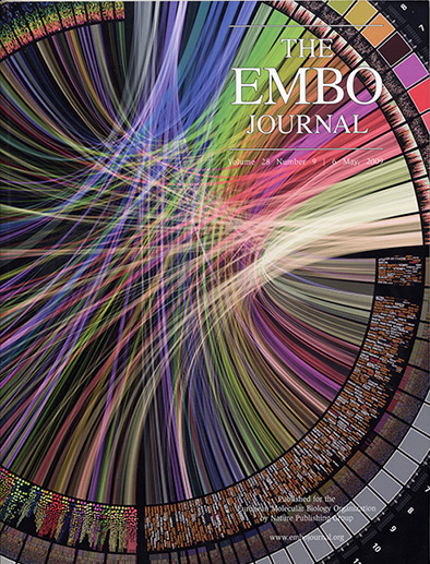 Circos image on EMBO Journal cover (394 x 517)